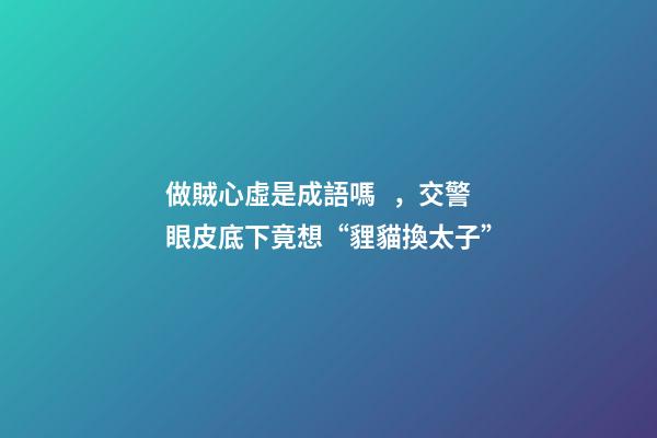 做賊心虛是成語嗎，交警眼皮底下竟想“貍貓換太子”